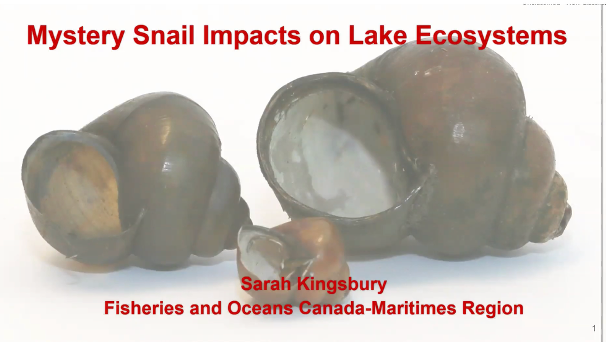 Practical Water Wisdom 2025 Series #10